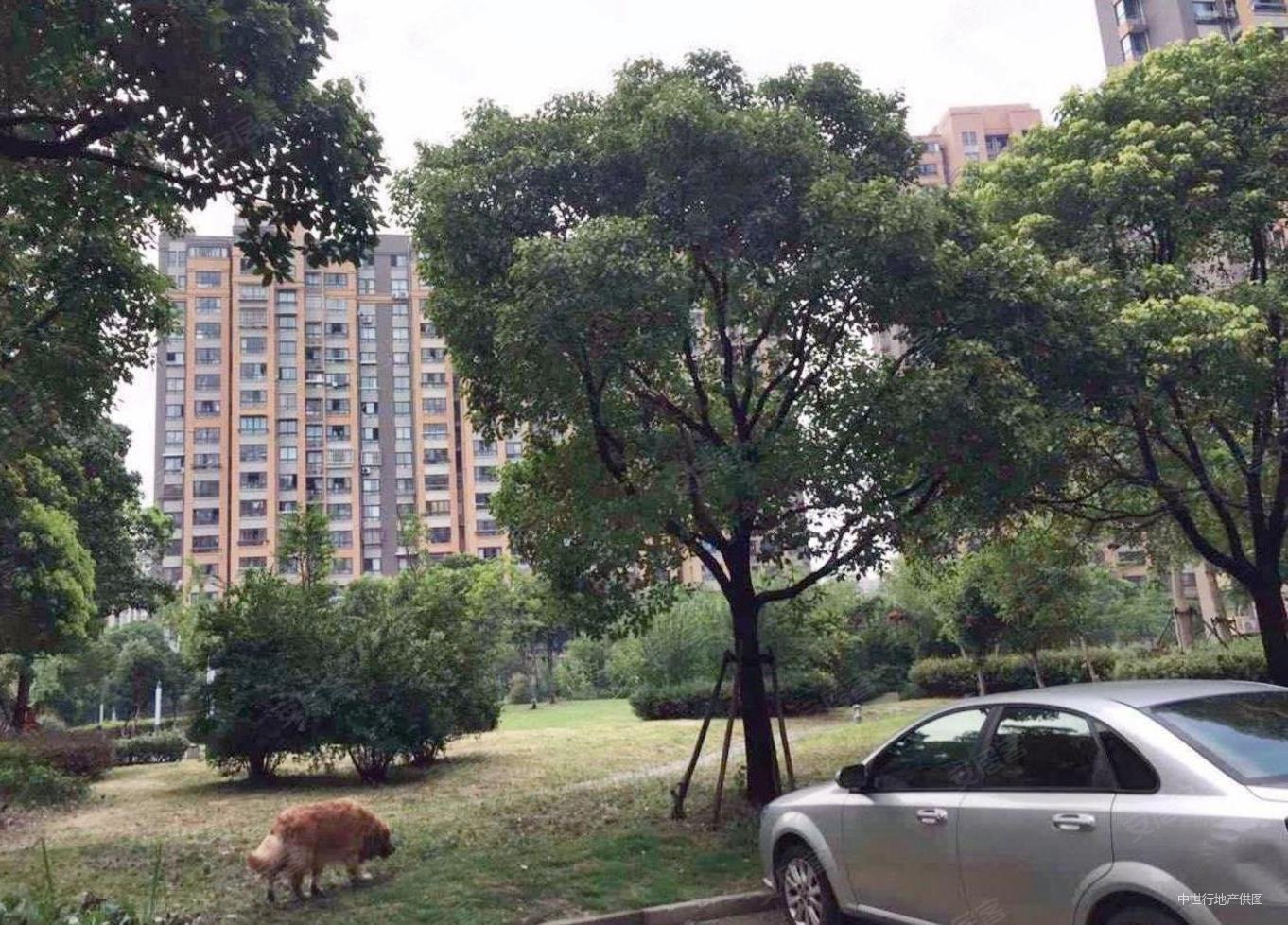 曹路地铁口300米,高区楼层采光好,看房方便,带车位,星颂家园二手房