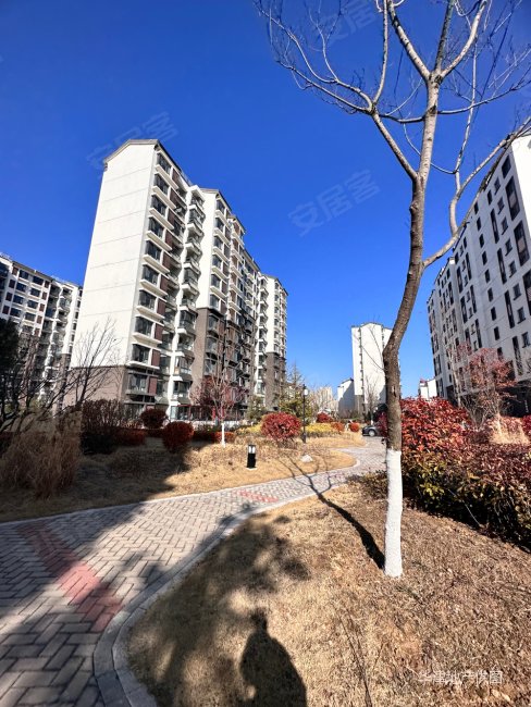 62w江南城三期电梯洋房三室两卫精装修可拎包入住