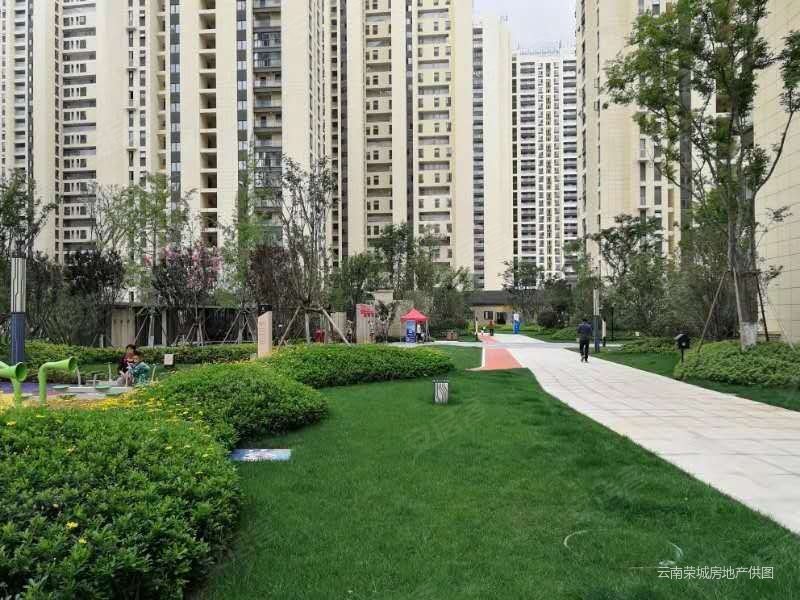 蓝光林肯公园一期悦山苑双卫格局商品房临地铁