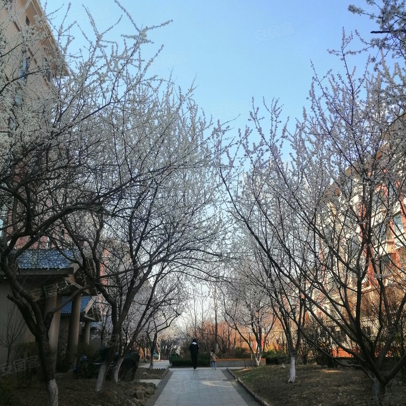 【保利花园(五期), 保利花园(五期)小区详情,房价走势,房源,业主论坛