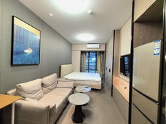 深圳南山科技园科技园，润府三期低楼层，精装修公寓，拎包入住，随时可看出租房源真实图片