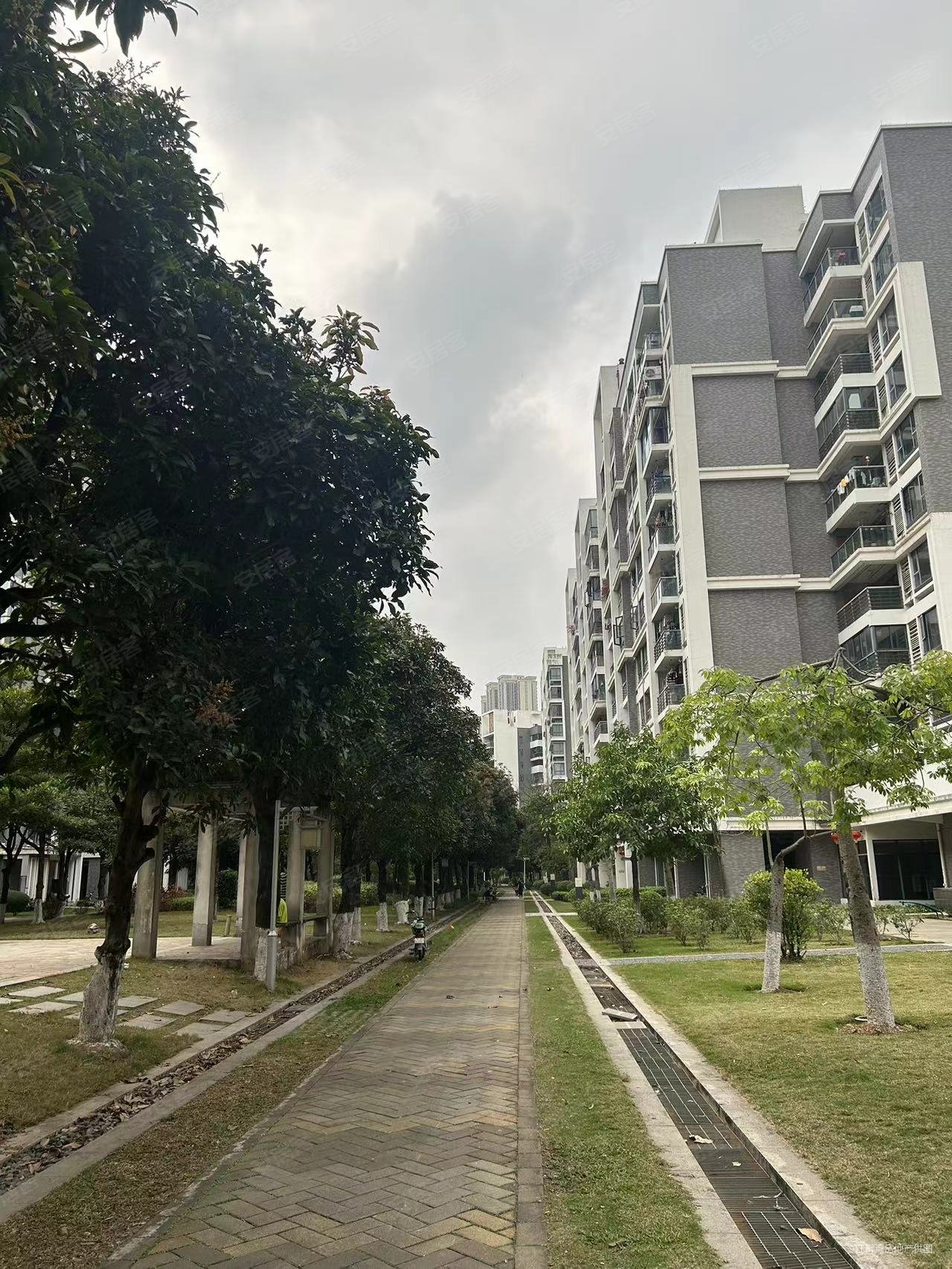 亚运城运动员村一区