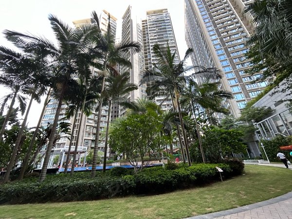 深圳南山南头田厦翡翠明珠花园南山文体中心,翡翠明珠,高品质花园豪华