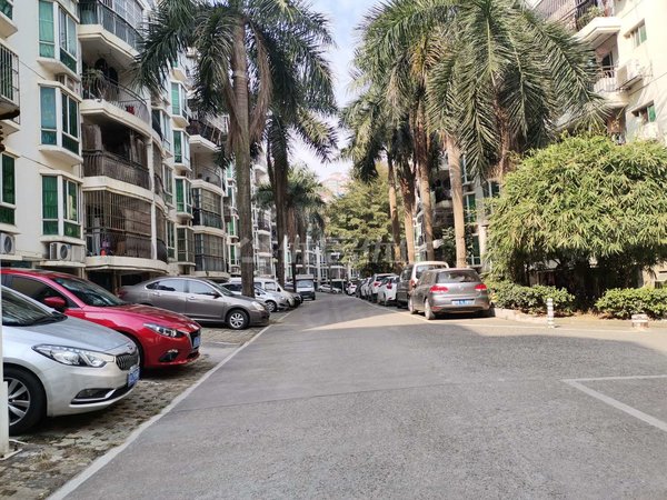 南宁兴宁东沟岭阳光绿城阳光绿城精装两房配齐出租出租房源真实图片