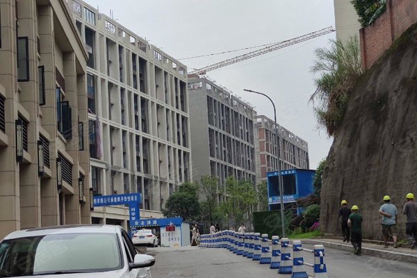 不足,合能枫丹玖悦怎么样,合能枫丹玖悦周边房产中介经纪人评价-重庆