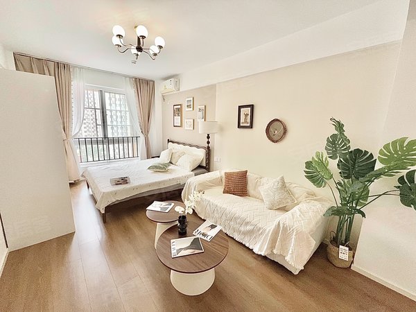 徐州金山桥开发区城置国际花园城置克拉公寓自己房子 城置国际花园 环球港 蟠桃花园 金龙湖 宗申 华道出租房源真实图片