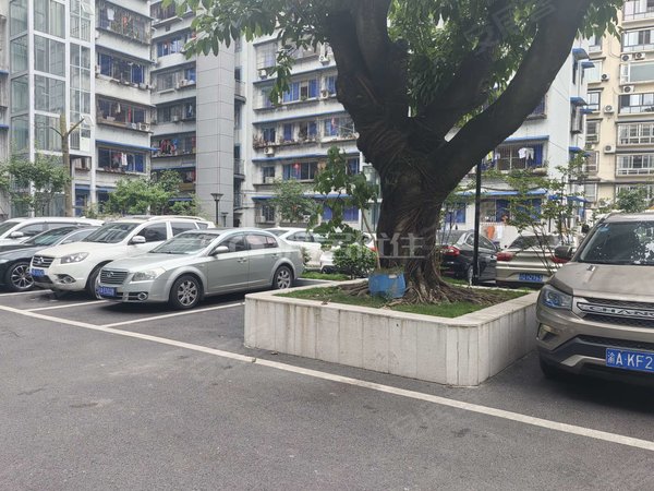 【多图】渝北园丁新村,两路租房,渝北园丁新村3室2厅2卫116.