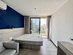 深圳南山科技园急租小区奢华一房 家电齐全 民水民电押一付一 拎包入住!!出租房源真实图片