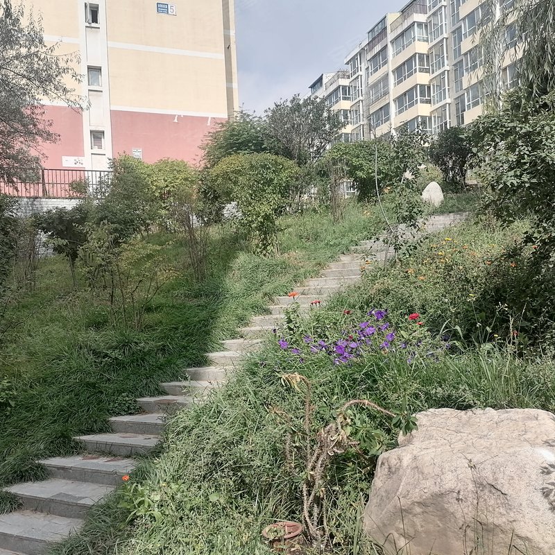 金帝都市花园小区详情,房价走势,房源,业主论坛】- 西宁58同城