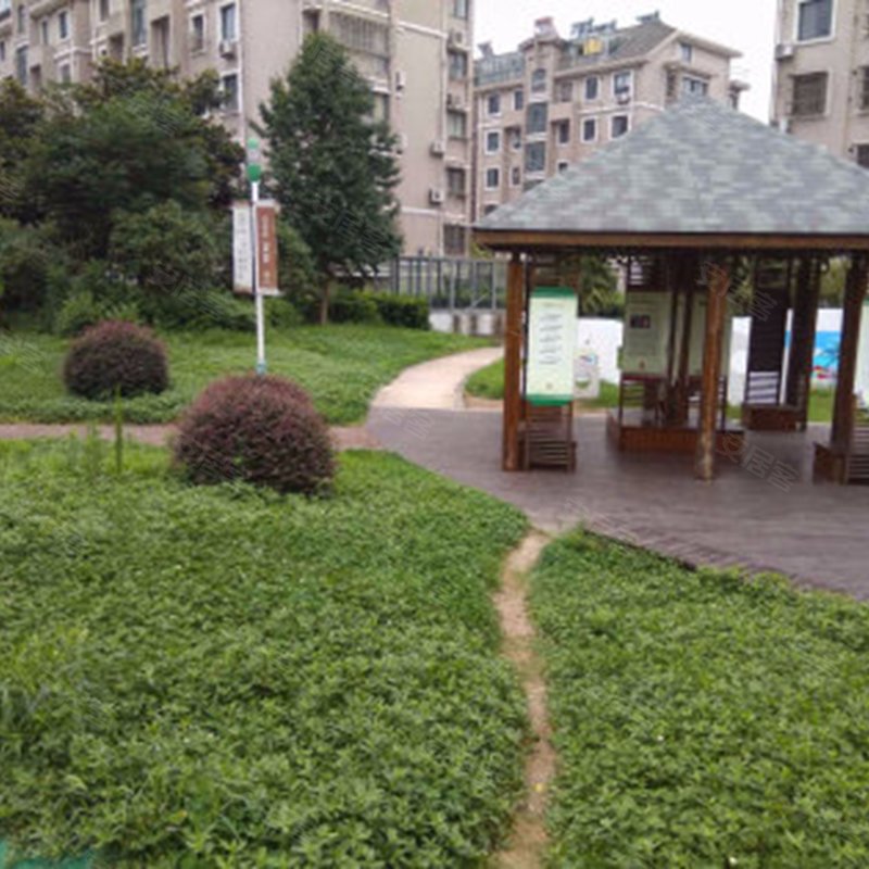 【由由民丰苑, 由由民丰苑小区详情,房价走势,房源,业主论坛】- 上海