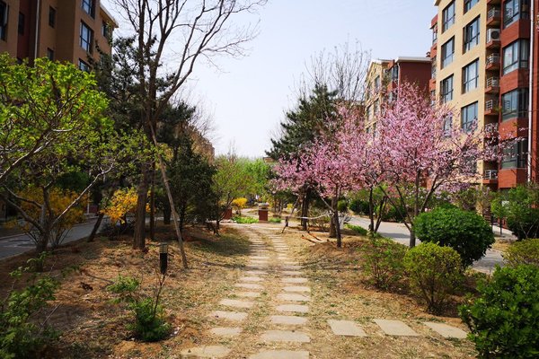 珠光逸景(一号院)周边房产中介经纪人评价-北京安居客