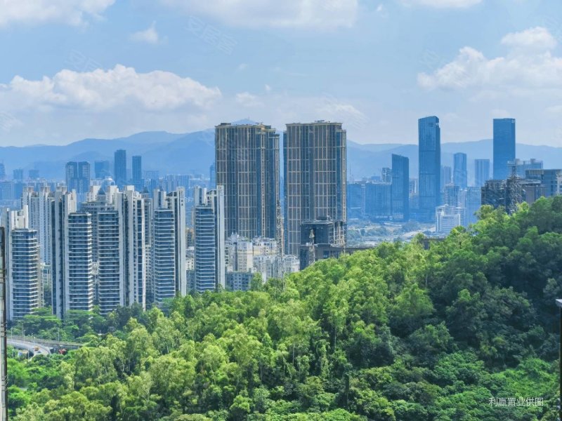 深圳房产网>深圳二手房>福田二手房>香蜜湖二手房>栖棠映山>800_600