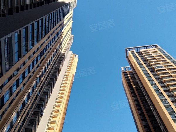 深圳龙岗平湖平湖佳兆业广场(商住楼)平湖佳兆业君汇公馆 精装一房一