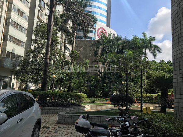 南宁青秀东葛路香江花园靓房出租 古城建政路 中国银行旁边 电梯3房2