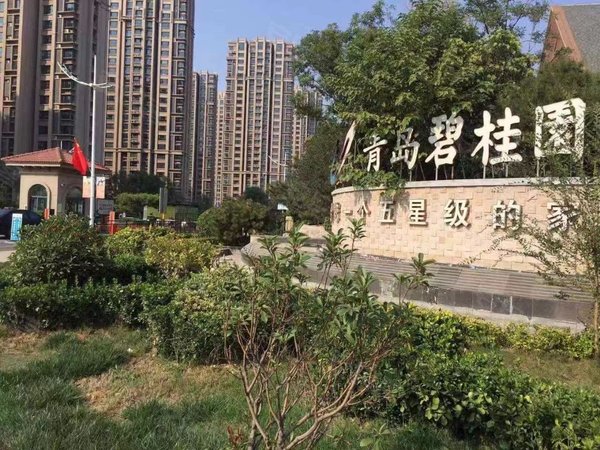 青岛城阳棘洪滩青岛碧桂园青岛碧桂园 2室2厅1卫