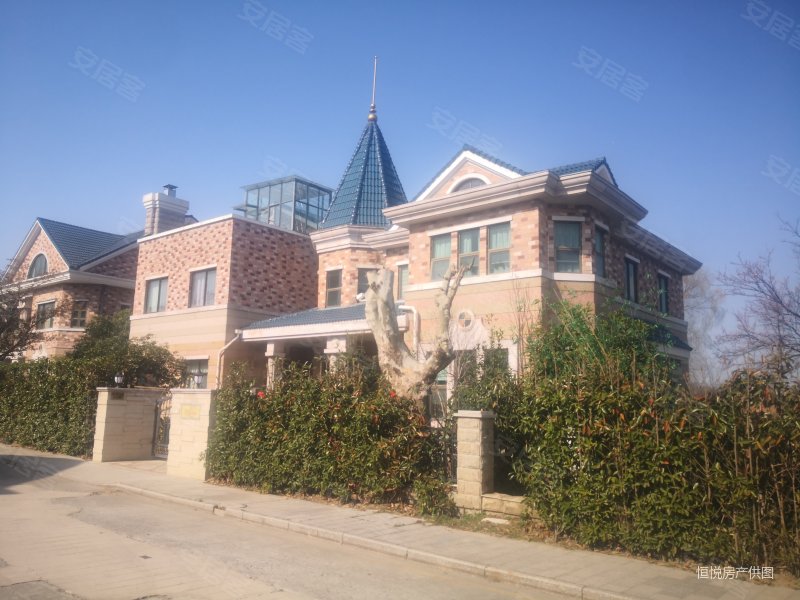 阳明山庄4室2厅3卫302㎡南北550万
