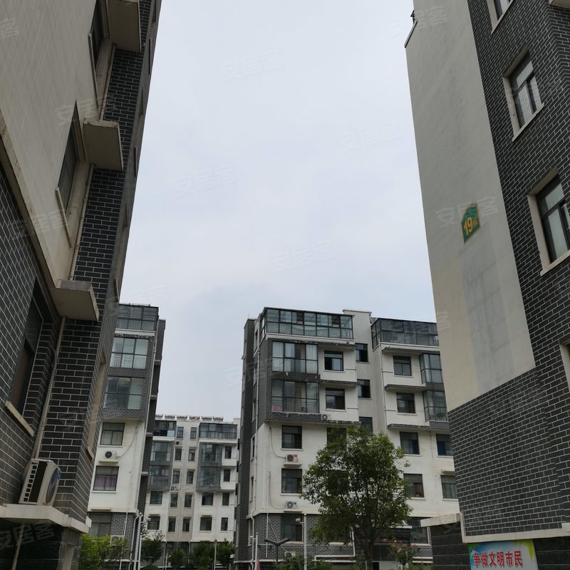 【龙泽国际, 龙泽国际小区详情,房价走势,房源,业主论坛】- 临沂58