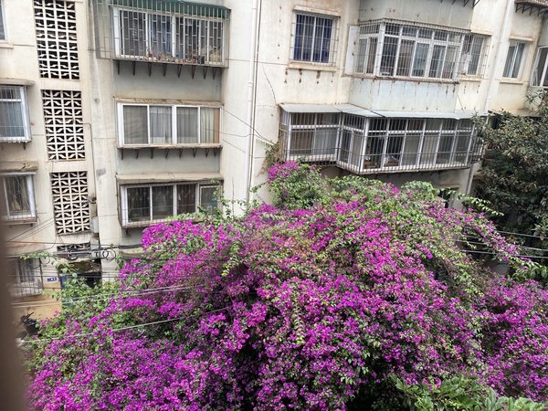 昆明五华翠湖沙朗巷小区正义坊区政府省中医院华山西路地铁站武成小学