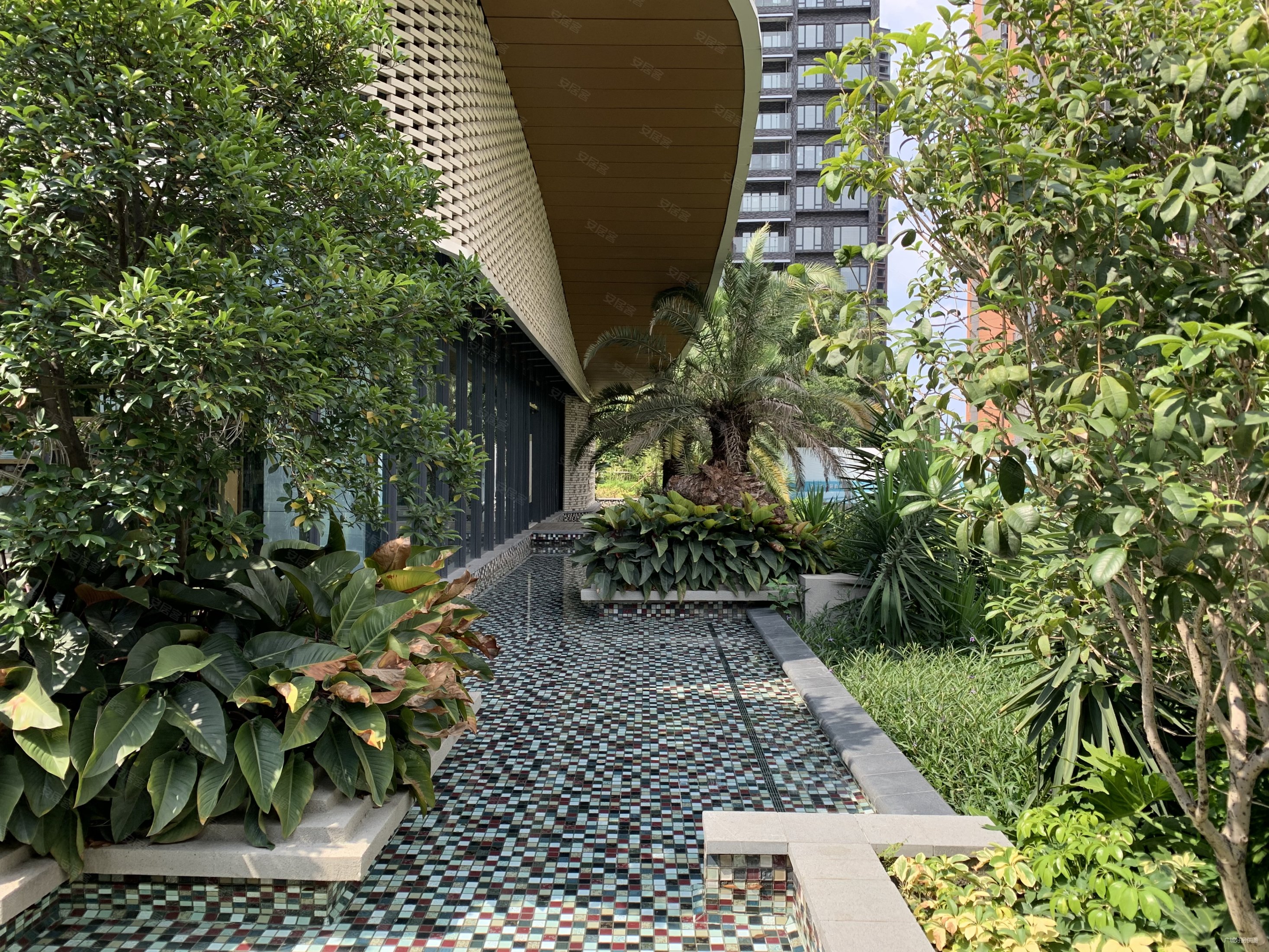 (品质优选)北滘新城双地铁环绕合景天銮可做公积金 特价便宜甩