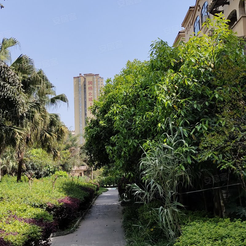 【橄榄郡(新都), 橄榄郡(新都)小区详情,房价走势,房源,业主论坛】