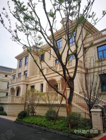 超豪华联排别墅,中建汤逊湖壹号,满二,随时看房,急售