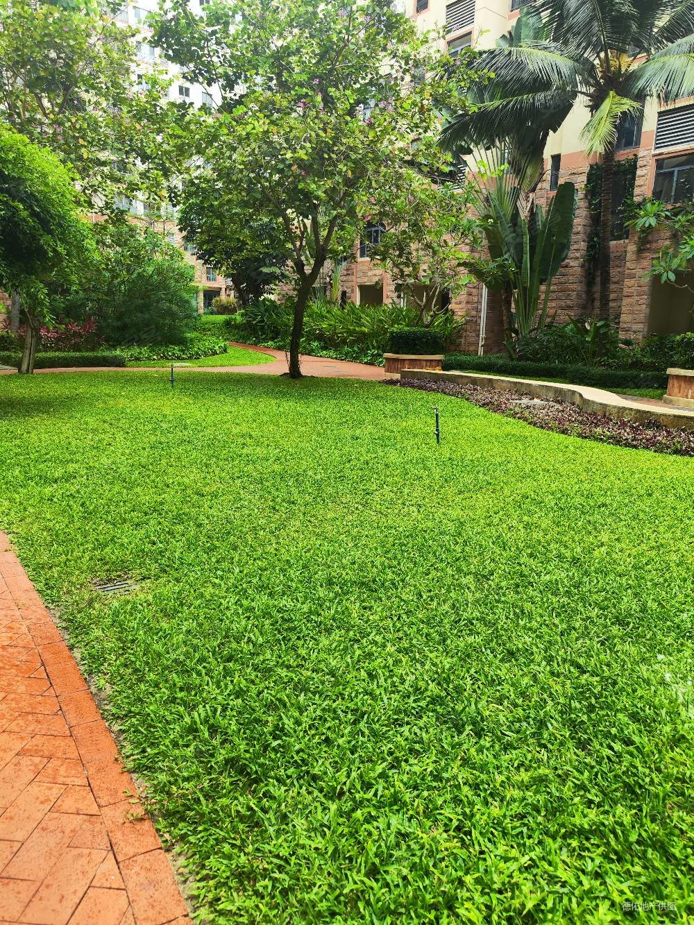 三亚市吉阳区红沙社区半岛蓝湾小区