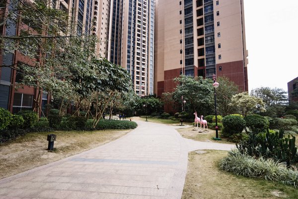 湛江小区 廉江小区 廉江城区小区 美景国际广场三期
