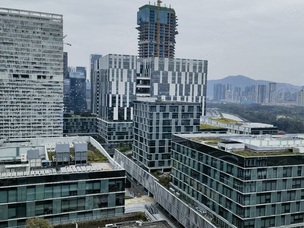 深圳南山科技园深圳湾科技生态园深圳湾科技生态园精装2房一厅出租