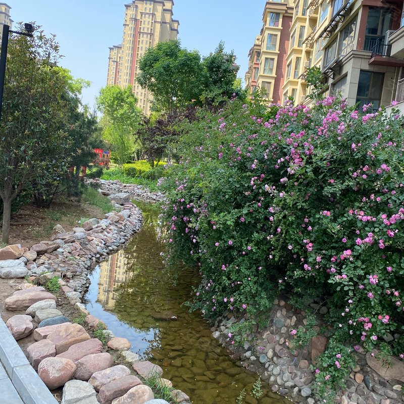 【领世城邦, 领世城邦小区详情,房价走势,房源,业主论坛】- 邢台58