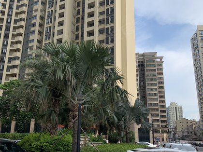 珠水豪庭,南海区大沥黄岐北环路138号 - 广州珠水豪庭二手房,租房