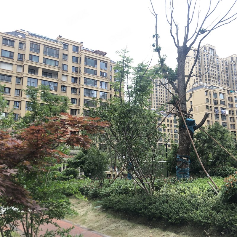 【橡树湾, 橡树湾小区详情,房价走势,房源,业主论坛】- 盐城58同城