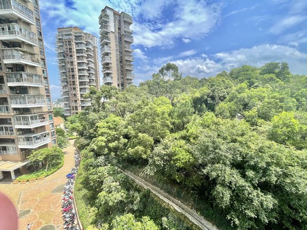 深圳宝安松岗畔山御景花园松岗地铁口畔山花园精装三房出租,新装修带
