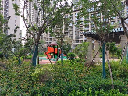 龙城水景苑鱼台