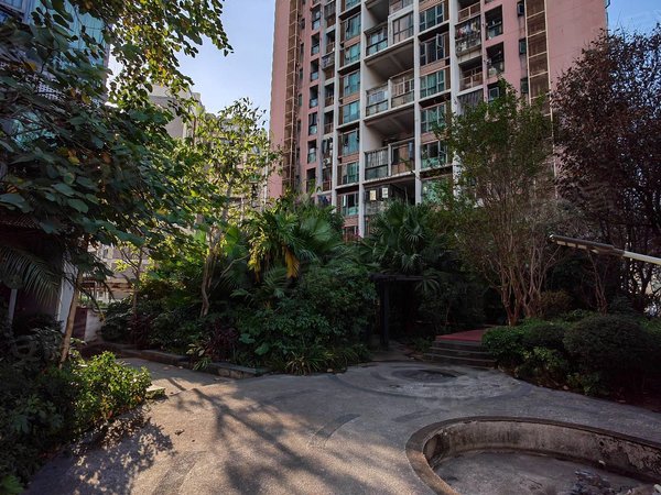 深圳龙华龙华丹枫雅苑中英文学校 新华中学 丹枫雅苑 空中花园小区 双