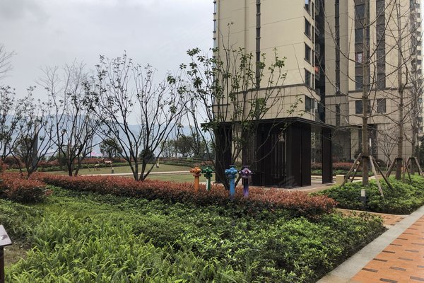 蓝光林肯公园,龙洲大道2999号-重庆蓝光林肯公园二手房,租房-重庆安居