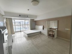 杭州滨江西兴视界之窗  短租 长租 都可以 一室一厅 LOFT出租房源真实图片