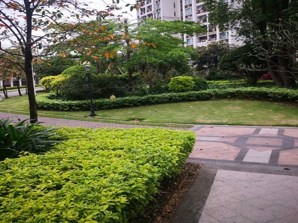 广州番禺南浦锦绣半岛锦绣半岛首套超豪华装修不容错过 随时看房 小区