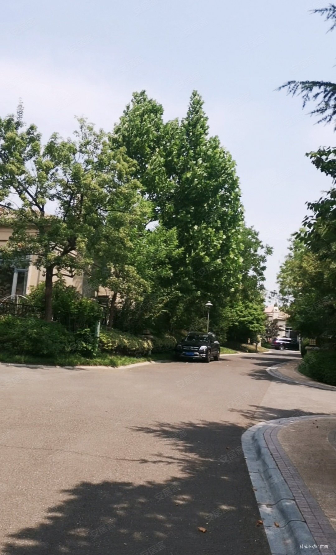 南向300多平院子价格好商量法颂独栋别墅丽山国际