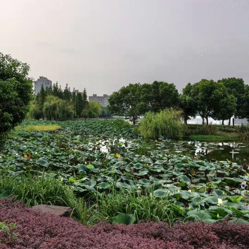 【翠湖湾, 翠湖湾小区专家解读页】- 苏州58同城