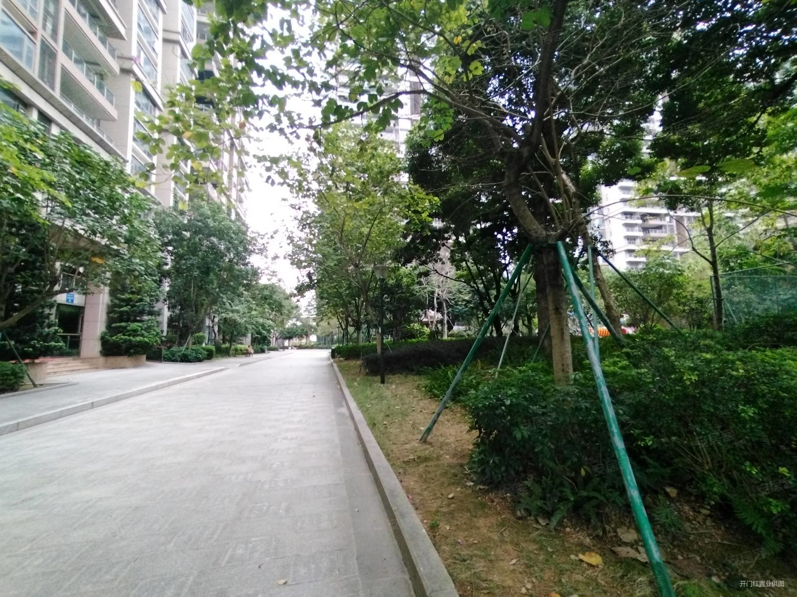 天虹商场龙泉豪苑568平方毛坯6房2厅出售