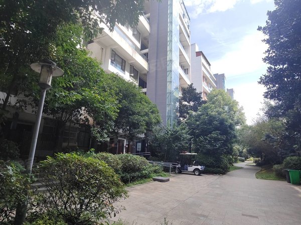 贵阳花溪花溪公园溪山御景花溪平桥旁溪山御景精装小复式楼可做四室