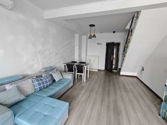 武汉蔡甸恒大绿洲中国健康谷健康新天地 2室1厅1卫  电梯房 精装修44平米出租房源真实图片