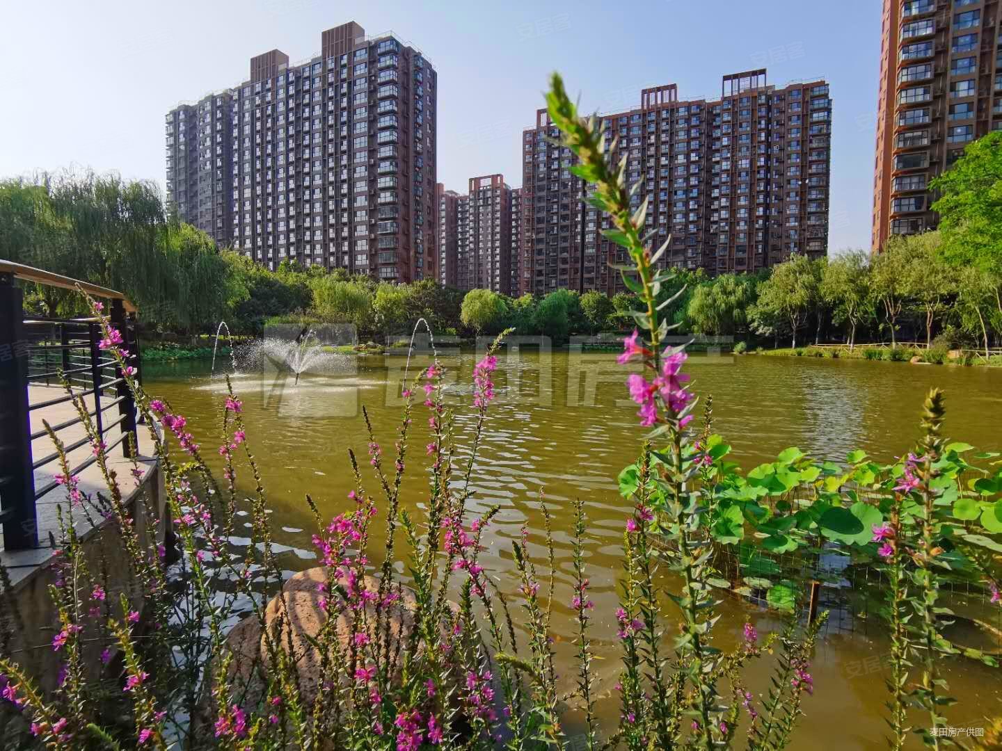 富力桃园(c区)3室2厅2卫157.32㎡南北1380万