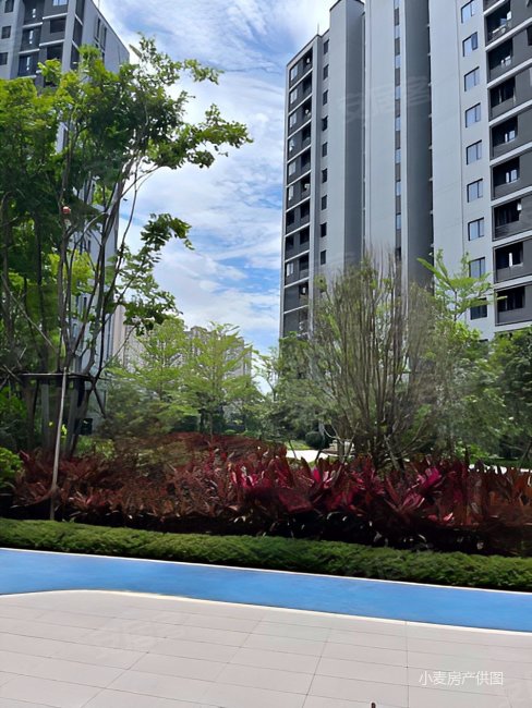 网>福州二手房>仓山二手房>南江滨西大道二手房>禹洲融信cone玺湾>