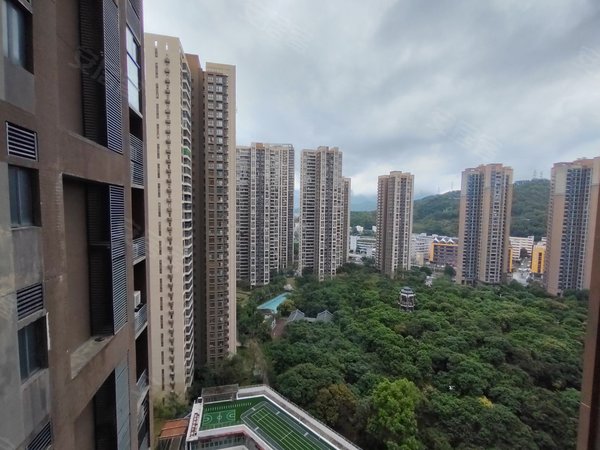 【多图】万科公园里,南岭租房,温馨的房子,充满了自然光线格外舒适.