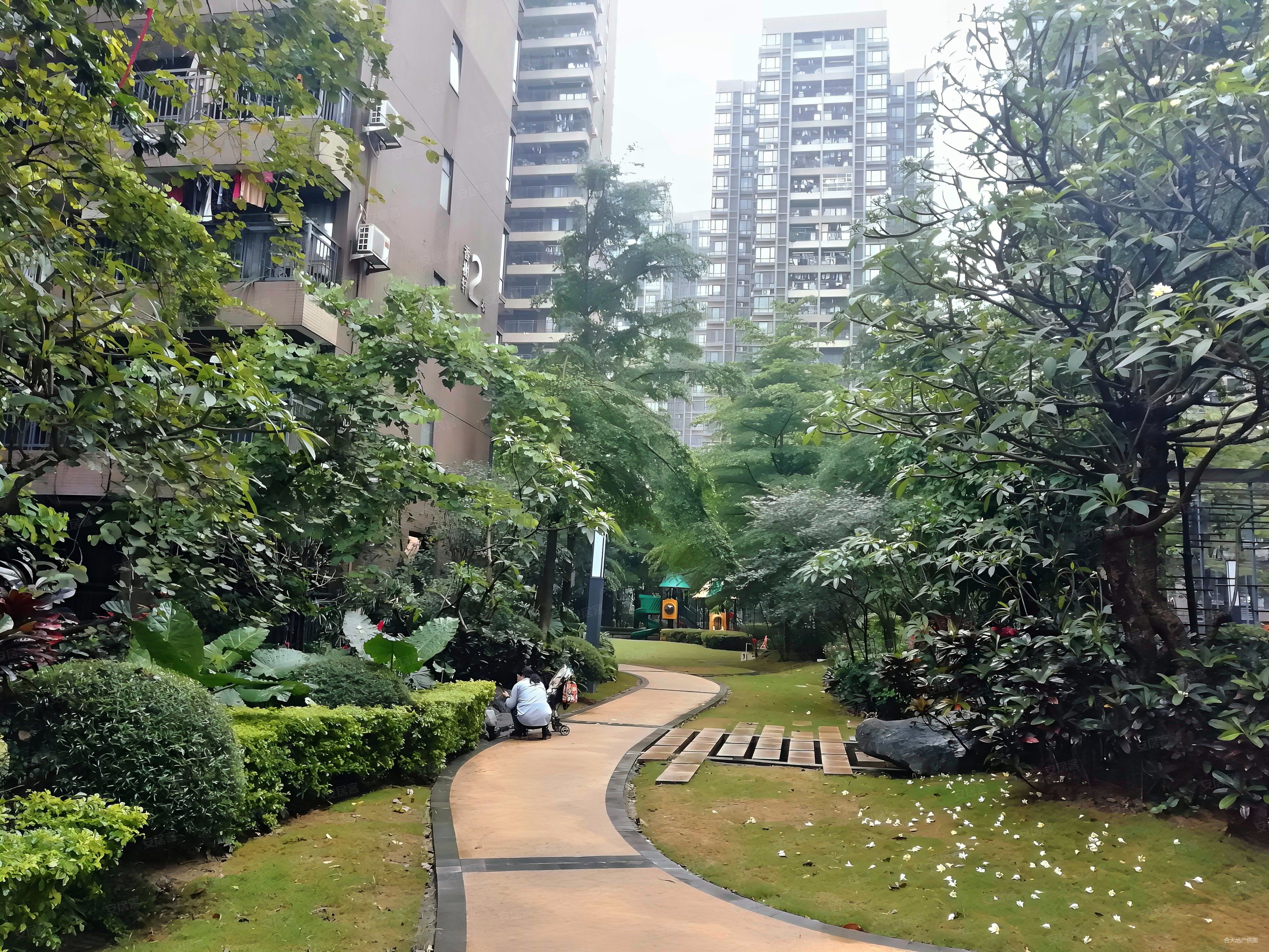 东莞房产网>东莞二手房>道滘二手房>道滘城区二手房>沿海丽水佳园