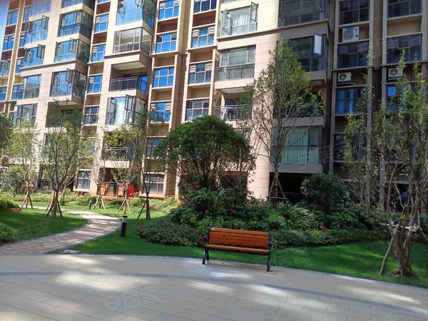 龙苑)商学院旁碧桂园春城印象2房带家具家电拎包入住出租房源真实图片