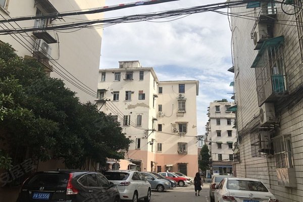 兰岭园,曹杨三村95号-129号,曹杨三村206号-293号 - 上海兰岭园二手房