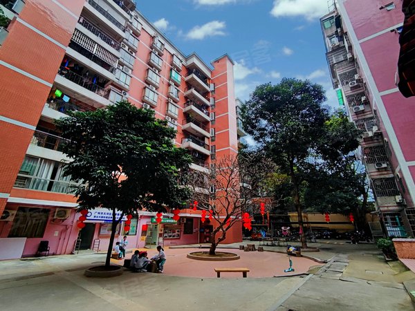 广州天河员村金兴花园电梯大二房 天河公园地铁e站台 花园小区 绿荫