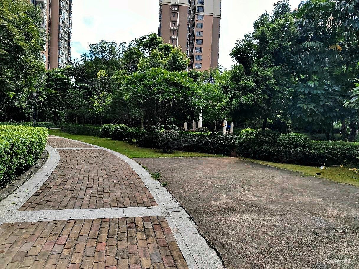 水口龙湖四路大新城南贸花园毛坯四房南北通透看花园